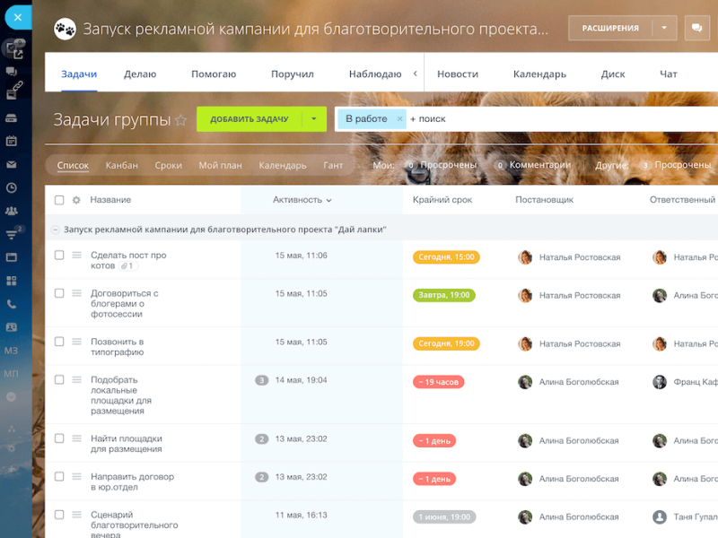 Задачи и проекты